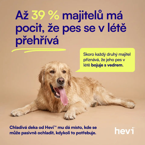 Hevi™ Pets Cooling Blanket
